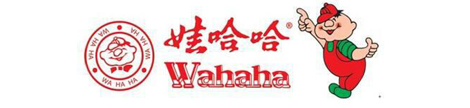 聯(lián)測電磁流量計(jì)在鍋爐計(jì)量系統(tǒng)上的應(yīng)用